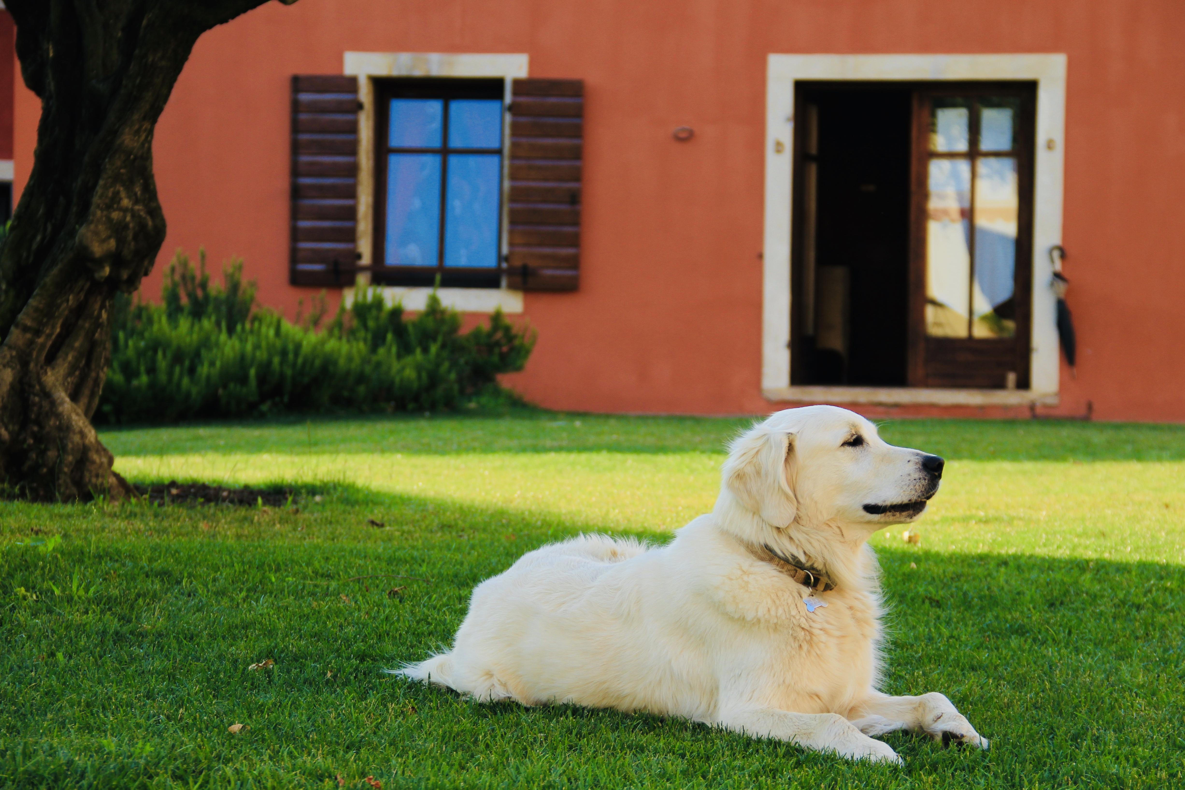 Gasthaus Musella Winery&Relais San Martino Buon Albergo Exterior foto